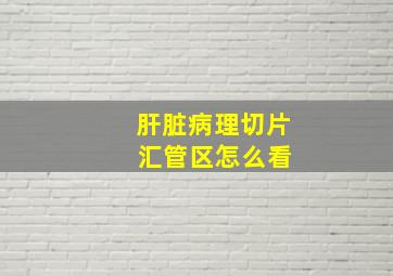 肝脏病理切片 汇管区怎么看